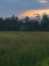 IMG_1783.jpeg