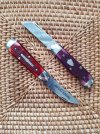 gec25pair01.jpg