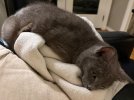 IMG_2997.jpeg