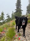 IMG_8419.jpeg