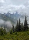 IMG_8420.jpeg