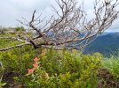 IMG_8428.jpeg