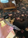 IMG_2542.jpeg