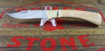 110 Mastodon with Mastodon tooth File Work - 3.jpg