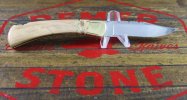 110 Mastodon with Mastodon tooth File Work - 5.jpg