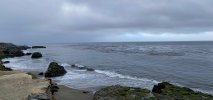IMG_0505.jpeg