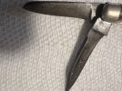 IMG_6747.jpeg