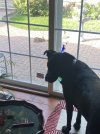 IMG_2557.jpeg