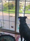 IMG_2558.jpeg