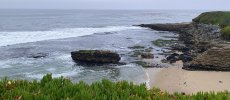IMG_0522.jpeg