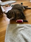 IMG_2091.jpeg