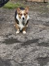 IMG_6478.jpeg