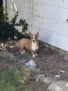 IMG_6312.jpeg