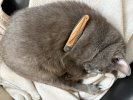 IMG_8140.jpeg