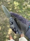 IMG_3952.jpeg