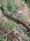 IMG_1969.jpeg