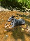 IMG_0334.jpeg
