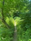 IMG_0322.jpeg