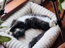 IMG_3504.jpeg