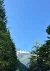 IMG_3121.jpeg