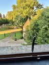 IMG_3185.jpeg