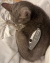 IMG_8516.jpeg