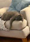 IMG_3462.jpeg