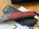 IMG_9849.jpeg IMG_9849.jpeg