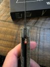 IMG_2499.jpeg