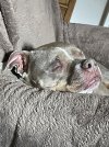 IMG_3500.jpeg