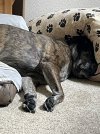 IMG_3514.jpeg