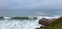 IMG_0648.jpeg