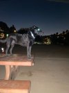 IMG_2737.jpeg IMG_2737.jpeg