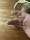 IMG_6560.jpeg