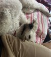 IMG_6429.jpeg