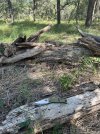 IMG_2573.jpeg