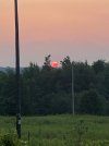 IMG_2078.jpeg