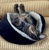IMG_3818.jpeg
