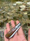 IMG_8525.jpeg