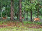20260707_064844.jpg