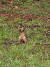 20260712_161317.gif
