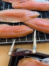 IMG_5856.jpeg