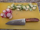 PXL_20260122_010606275.jpg