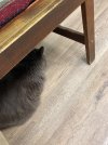 IMG_2123.jpeg