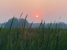 IMG_2130.jpeg