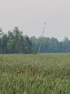 IMG_2139.jpeg