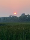 IMG_2138.jpeg