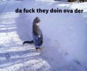 IMG_0055.jpeg