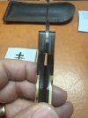 IMG_7895.jpeg