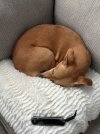 IMG_2629.jpeg IMG_2629.jpeg